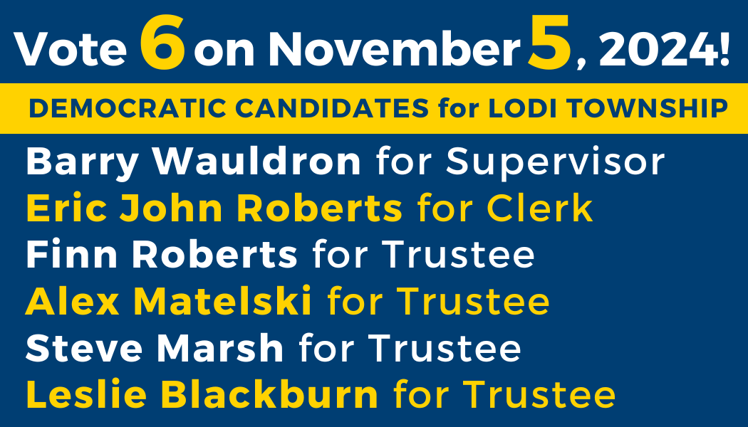 A campaign sign that reads "Vote 6 on August 6, 2024! Democratic Primary for Lodi Township. Barry Wauldron fro Supervisor. Eric John Roberts for Clerk. Steve Marsh for Trustee. Finn Roberts for Trustee. Alex Matelski for Trustee. Leslie Blackburn for Trustee.