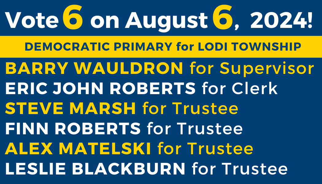 A campaign sign that reads "Vote 6 on August 6, 2024! Democratic Primary for Lodi Township. Barry Wauldron fro Supervisor. Eric John Roberts for Clerk. Steve Marsh for Trustee. Finn Roberts for Trustee. Alex Matelski for Trustee. Leslie Blackburn for Trustee.